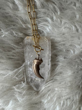 Black Bear claw