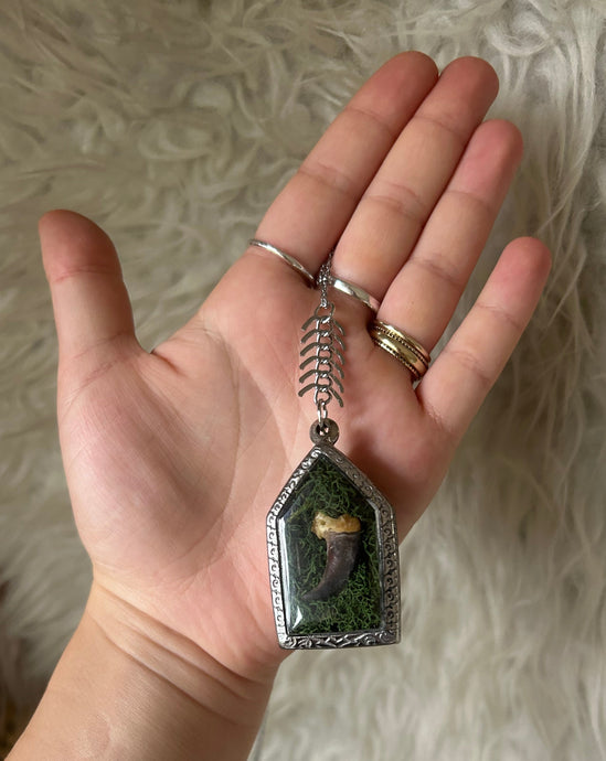 Coyote Claw Pendant
