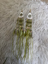 Antler Green Denatelium shell