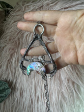 Double crow foot abalone moon