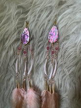 Pink abalone Denatelium