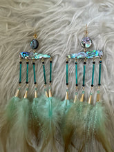 Green abalone