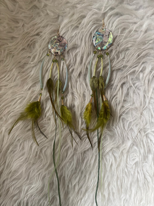 Green denatelium abalone