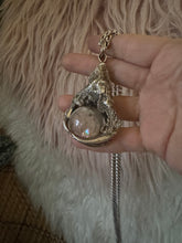 Owl talon
