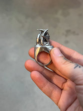 Great horn barn owl talon