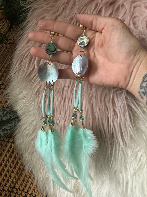 Turquoise abalone shell