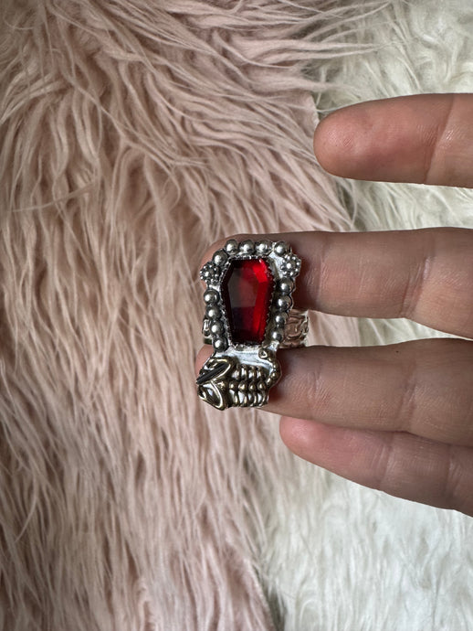 Ruby scorpion coffin