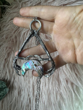 Double crow foot abalone moon