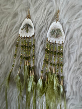 Antler Green Denatelium shell