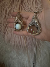 Owl talon