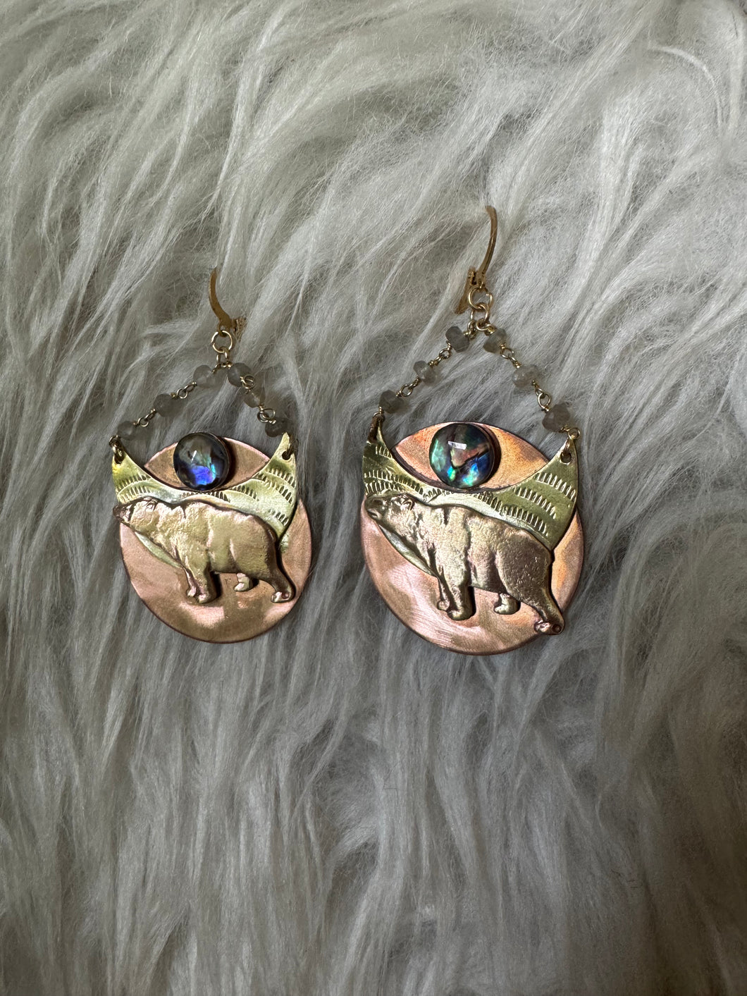 Copper Bear Abalone
