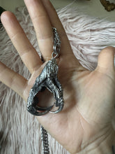 Owl talon